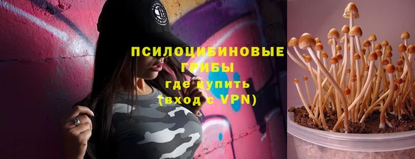 крисы Магадан