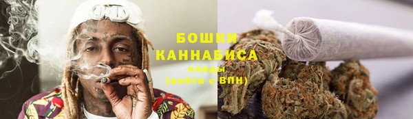 крисы Магадан
