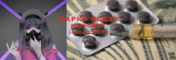 крисы Магадан