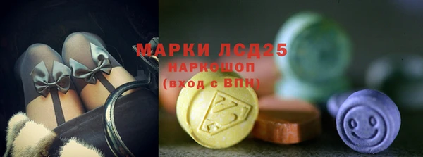 крисы Магадан