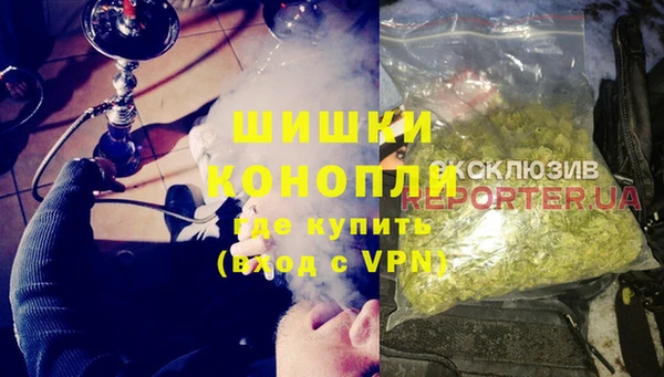 крисы Магадан