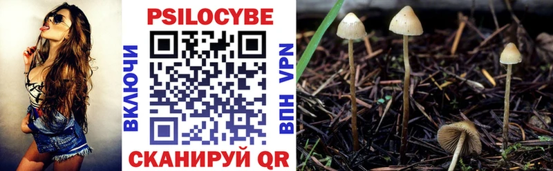 Купить где  Сокол  Галлюциногенные грибы мицелий 